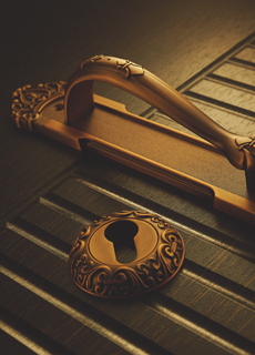 Push handle